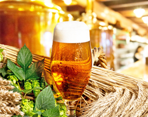 啤酒行業(yè)純水設備解決方案